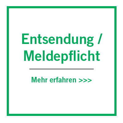 Entsendung und Meldepflicht im Travel Management | VDR-Akademie